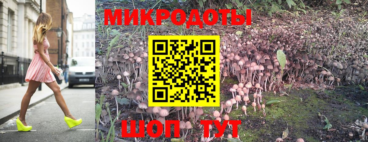 Псилоцибиновые грибы GOLDEN TEACHER  Псилоцибиновые грибы Magic Shrooms  Вход с VPN  Чита 