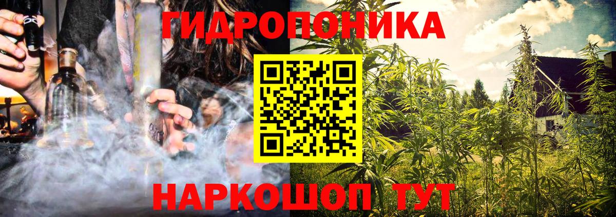Бошки Шишки индика  Вход с VPN  Шишки марихуана планчик  Бошки марихуана сатива  Чита 